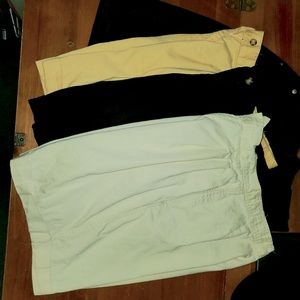 Raphael Pleated Casual/Dress Shorts